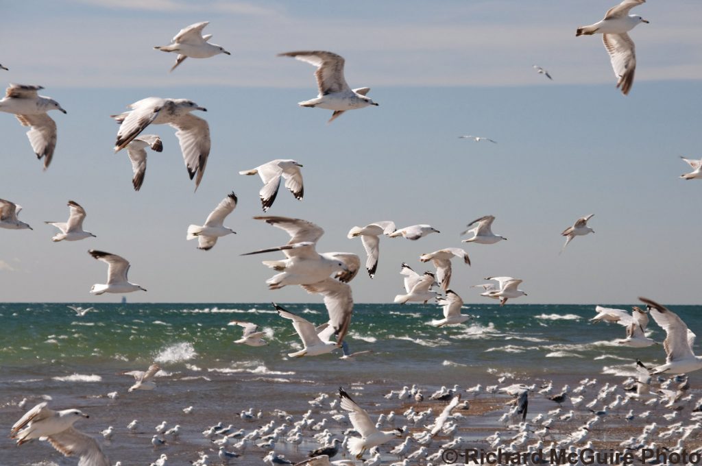 The end of Canada -- Point Pelee, Ontario