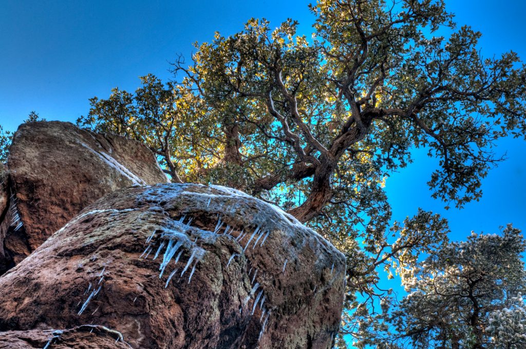 Chiricahua National Monument, Arizona