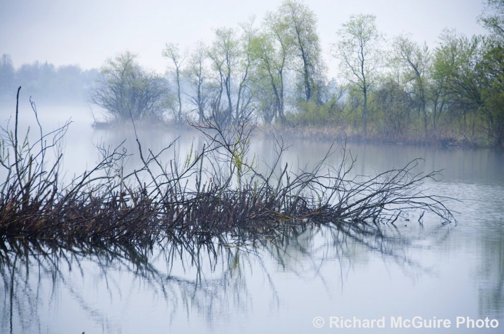 Mist over the St. Lawrence