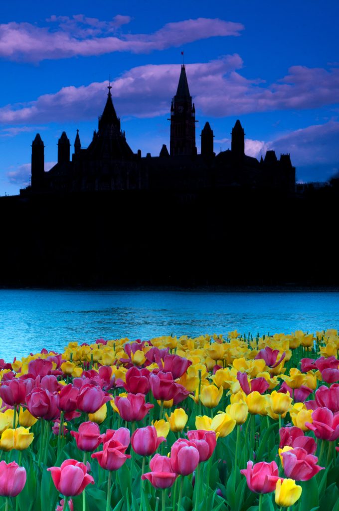Dark fantasies, Ottawa
