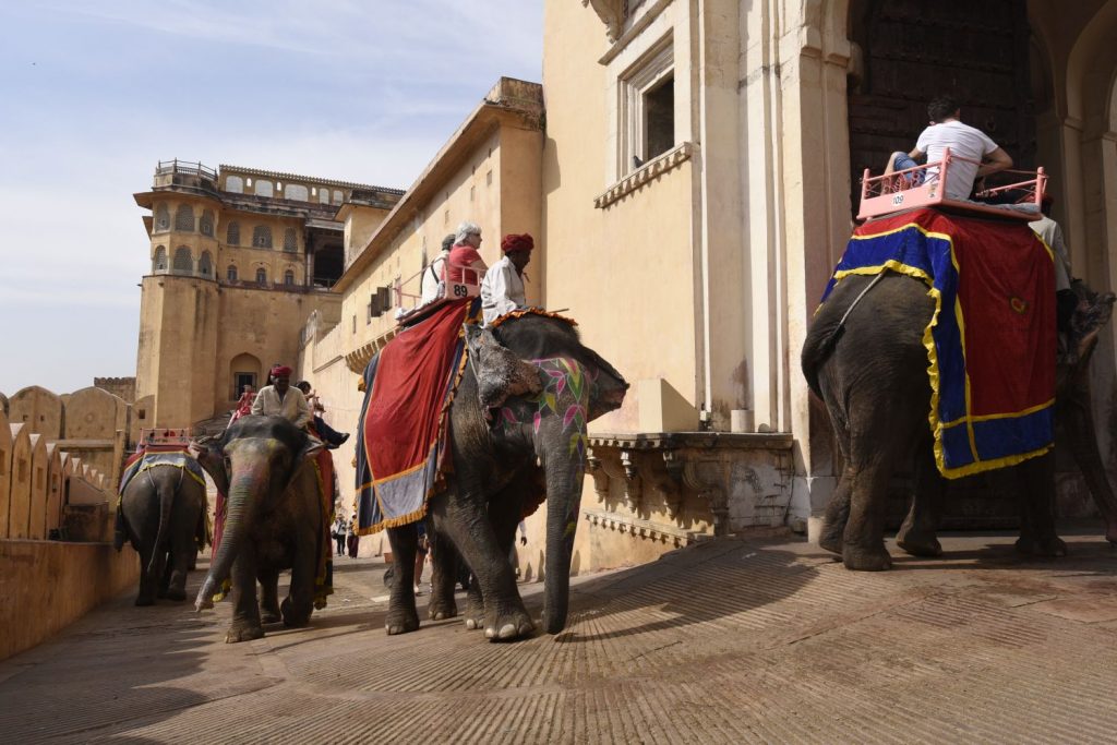 An elephant driver leads his painted elephant back to the bottom of the hill from Amber Fort. All or most of the elephants that carry tourists to the top are painted. (Richard McGuire photo)