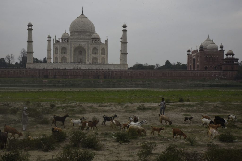 Goatherds moved their goats along the dried bed of the Yamuna River under the Taj Mahal. (Richard McGuire photo)