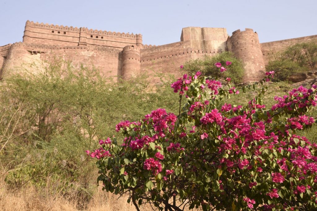 I climbed the steep road to the fortress at Jodhpur shortly before it closed for the evening. (Richard McGuire photo)