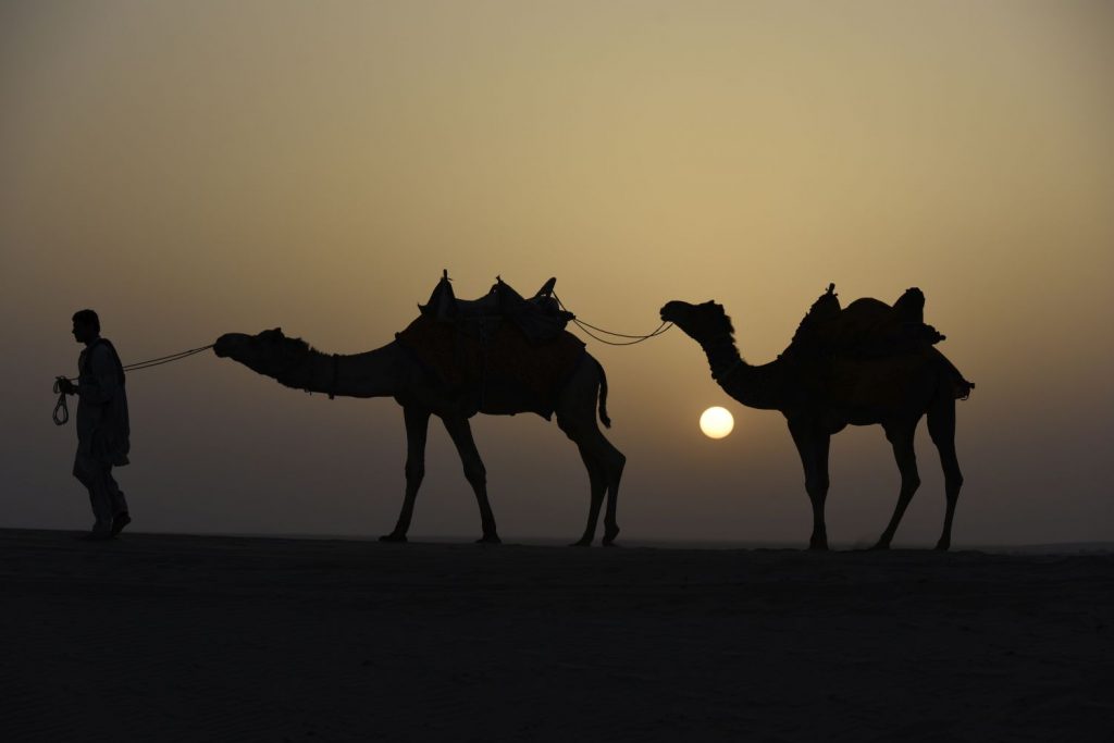 A highlight of my stay in Jaisalmer, Rajasthan was a short camel trek into the sand dunes of the Thar Desert. Shown here, camel driver Piru Khan leads my camel, Rocket, followed by Lucky. (Richard McGuire photo)