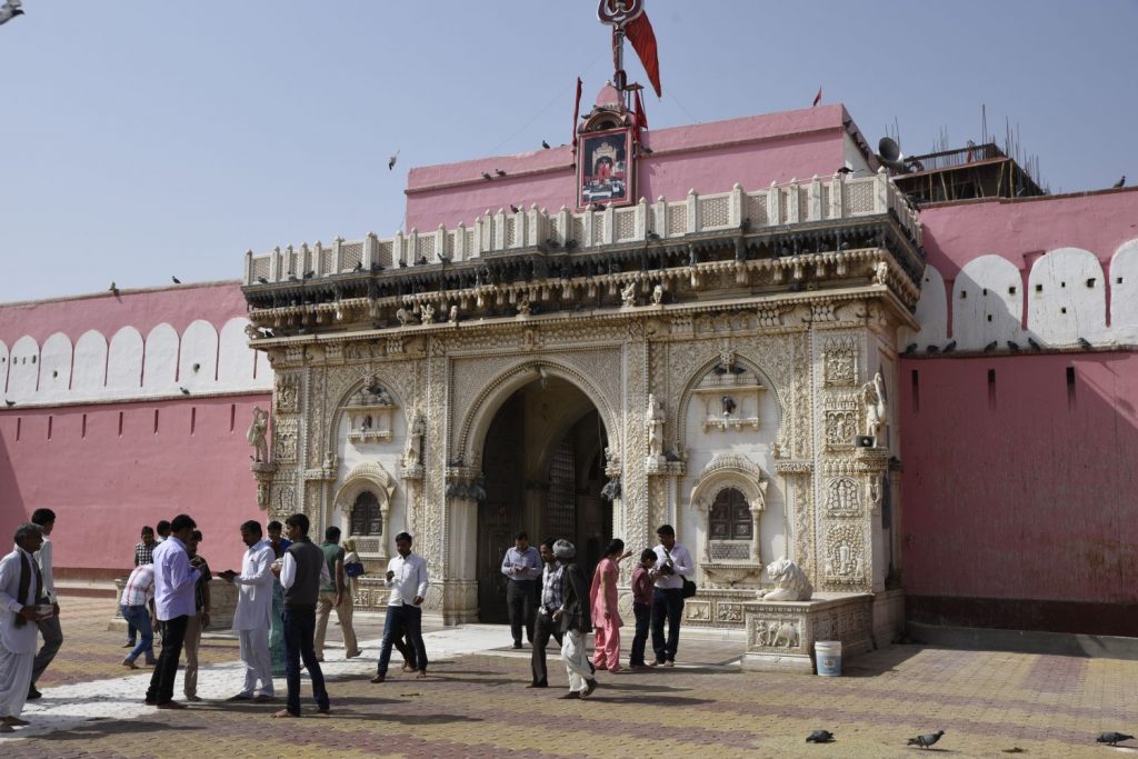 From the outside, the Karni Mata Temple at Deshnok looks like many other Hindu temples. Inside, however, it is crawling with rats that are venerated as the reincarnated ancestors of local residents. Many devotes come here to worship and often feed the rats while walking barefoot through rat feces. (Richard McGuire photo)