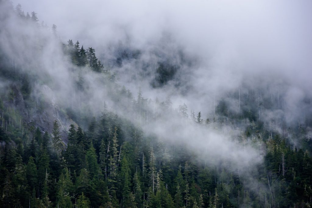 Clouds hang over the mountains that line the inlet approaching Khutzeymateen Grizzly Bear Sanctuary. There's a reason they call this the Great Bear Rain Forest. (Richard McGuire photo)