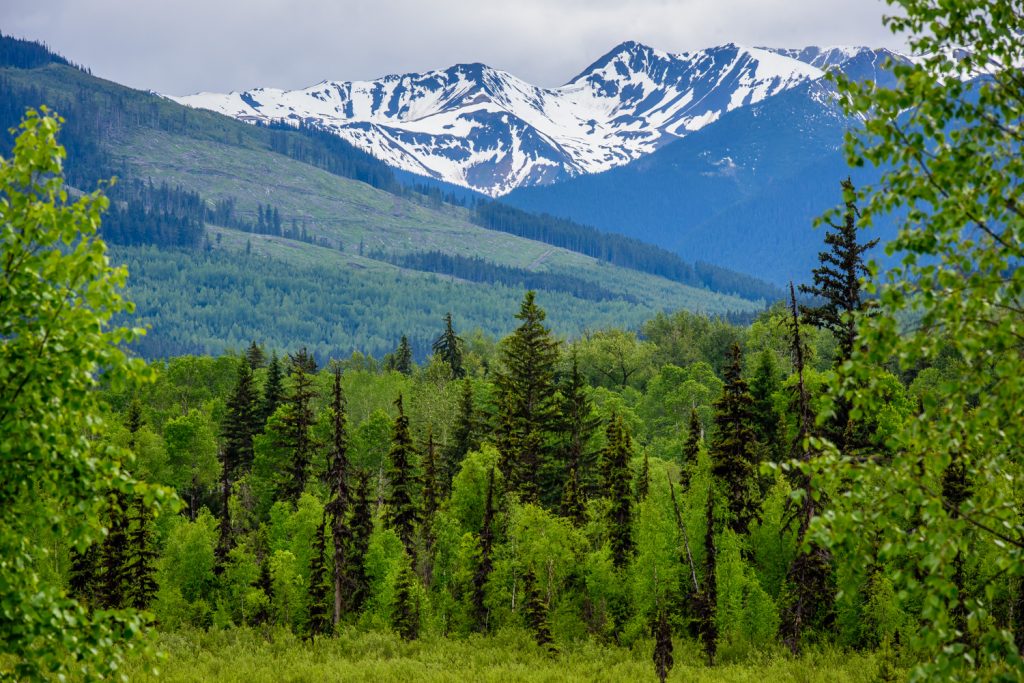 The snowcapped Coast Mountains are seen to the west of the Cassiar Highway heading north from Kitwanga. (Richard McGuire photo)