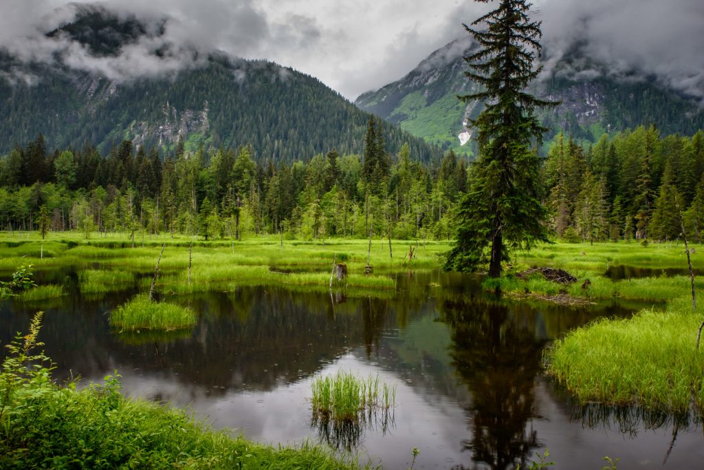 Leaving Hyder, Alaska to go north, you pass by this wetland. (Richard McGuire photo)