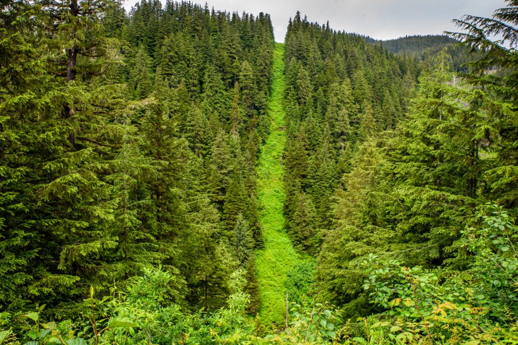 A sign welcoming you to B.C., a border marker and a long line cleared of vegetation every 10 years are the only indications you have crossed an international border north of Hyder, Alaska on the way to Salmon Glacier in British Columbia. (Richard McGuire photo)