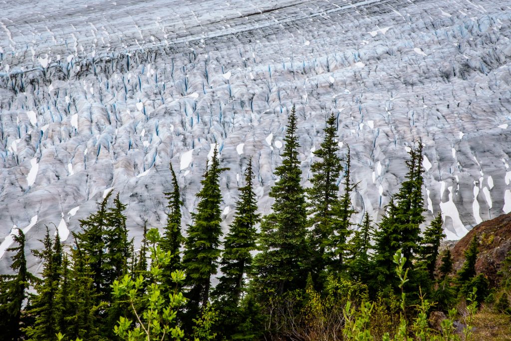Salmon Glacier snakes down a valley in B.C. just north of Hyder, Alaska. You drive up to about 1,000 metres in elevation, and there was still a considerable amount of snow at the roadside, although it was quickly melting. (Richard McGuire photo)