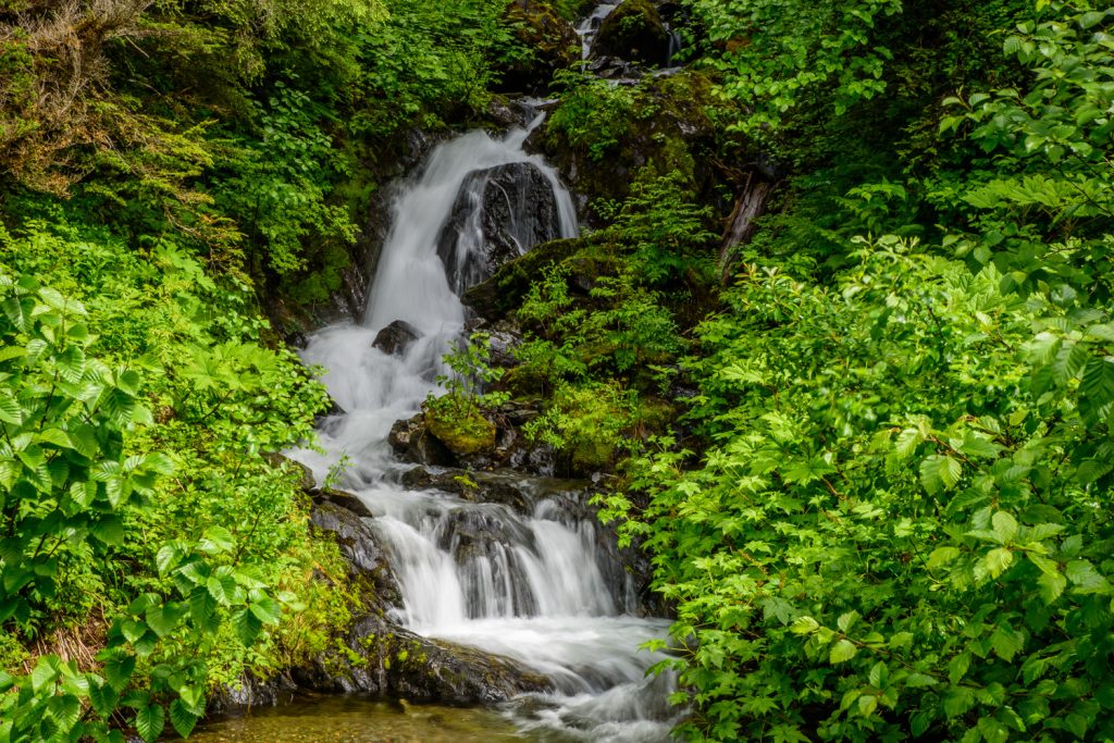 With lots of rain and with snow rapidly melting, there were lots of waterfalls by the road between Hyder, Alaska and Salmon Glacier in B.C. (Richard McGuire photo)