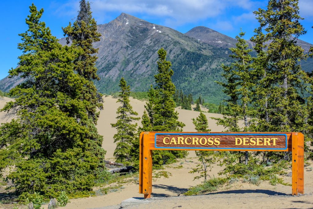 Carcross boasts the world's smallest desert. It's actually sand dunes left behind by a shrinking glacial lake. (Richard McGuire photo)
