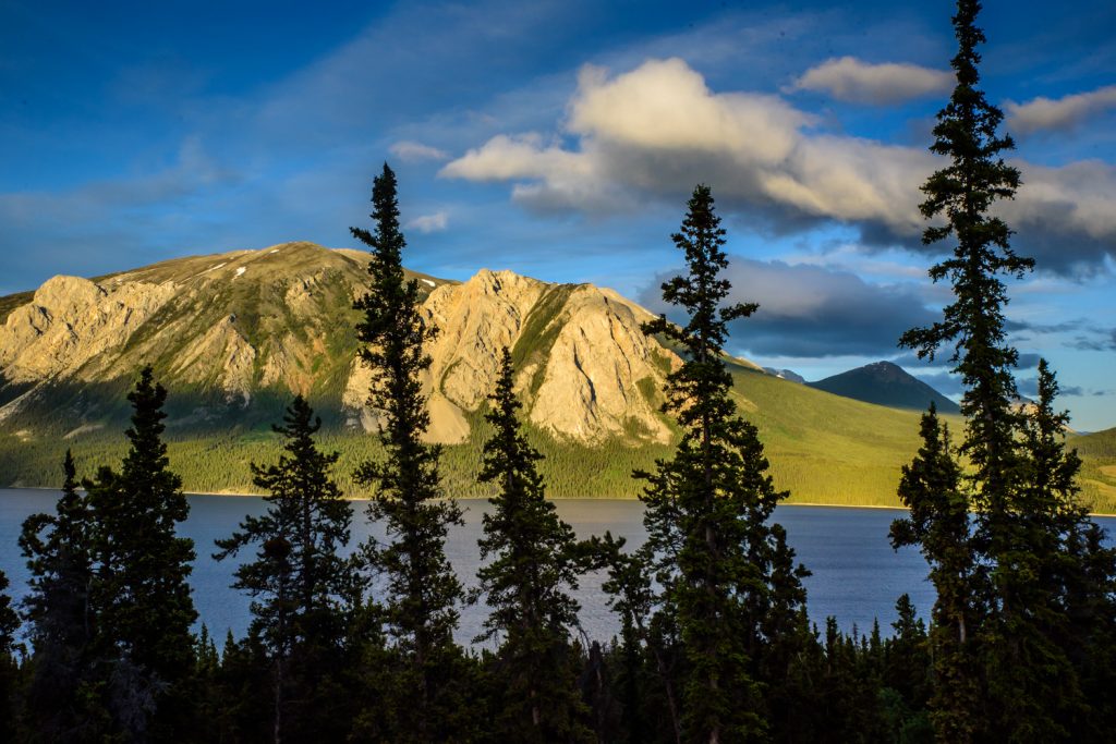 One of the nice things for photographers in June in the Yukon is the long golden hours. I took this photo south of Carcross at 10 p.m. It wasn't dark until after midnight. (Richard McGuire photo)