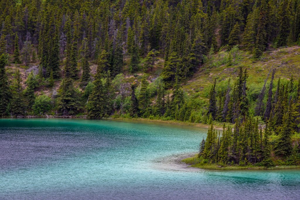 Emerald Lake north of Carcross, Yukon takes on a bluish emerald colour as a result of the marl on its bottom. (Richard McGuire photo)