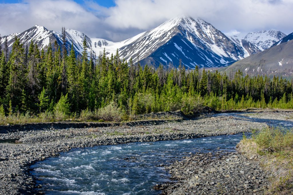 Quill Creek, south of Haines Junction. (Richard McGuire photo)