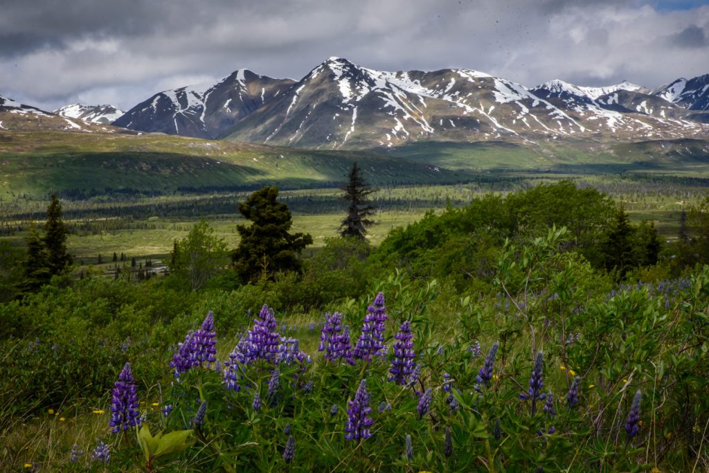 The Haines Highway south of Haines Junction passes by many beautiful lakes and mountains. (Richard McGuire photo)