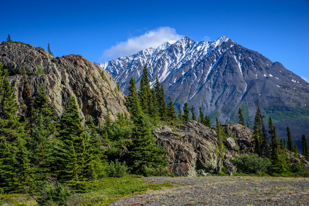 I took a short hike into the Alsek Valley west of Haines Junction. (Richard McGuire photo)