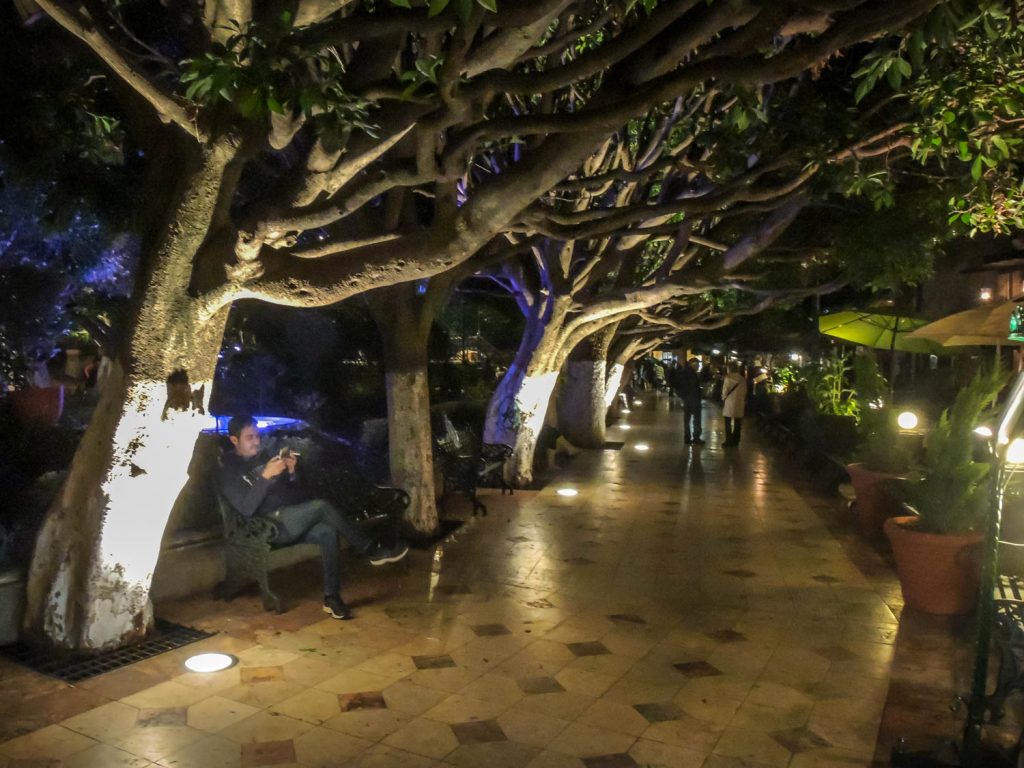My hotel is right on Jardin de la Union, the central plaza of old Guanajuato. It's still busy late at night on a week night. (Richard McGuire photo)