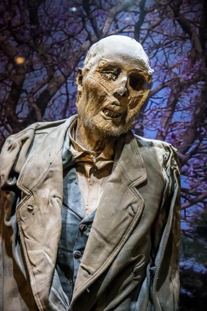 This mummy at the Museo de las Momias is said to be a French doctor. He was well dressed, though his clothes had decomposed. He was given a spooky backdrop. (Richard McGuire Photo)